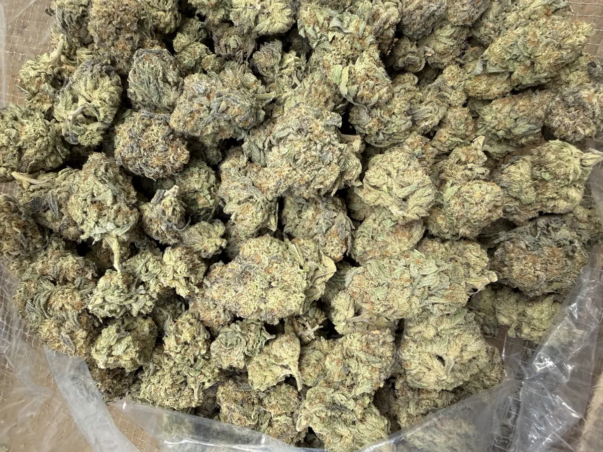 Oreoz Flower